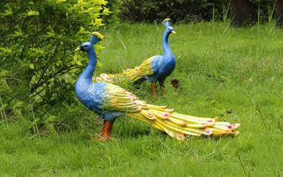 公園草坪上兩只覓食的仿真動物玻璃鋼彩繪孔雀雕塑