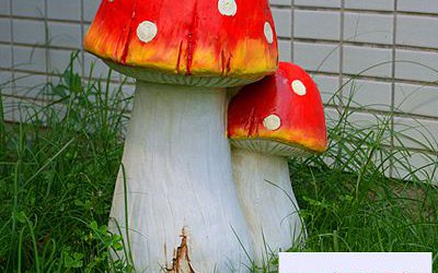 公園草坪兩頭紅色玻璃鋼材質(zhì)蘑菇雕塑