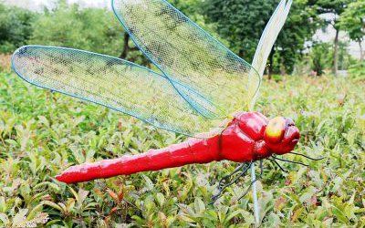 花園廣場紅色玻璃鋼蜻蜓雕塑