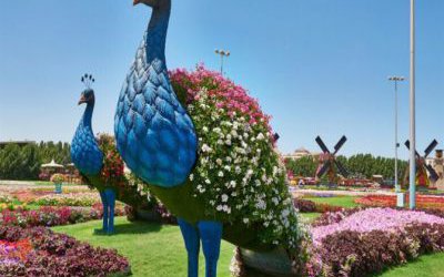 公園草坪戶外大型仿真彩繪動(dòng)物景觀孔雀雕塑