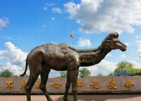 公園里擺放的小駝峰玻璃鋼噴漆駱駝雕塑
