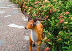 花園小路一只仿真動物擺件梅花鹿雕塑